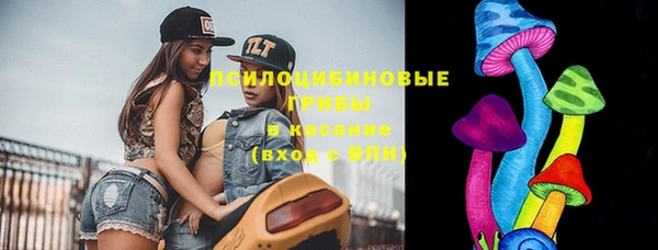 хмурый Богородск