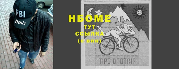 хмурый Богородск