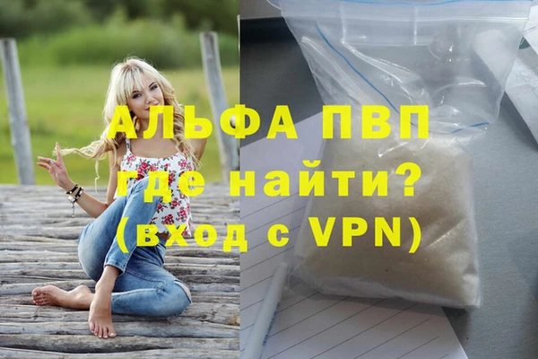 PSILOCYBIN Белокуриха
