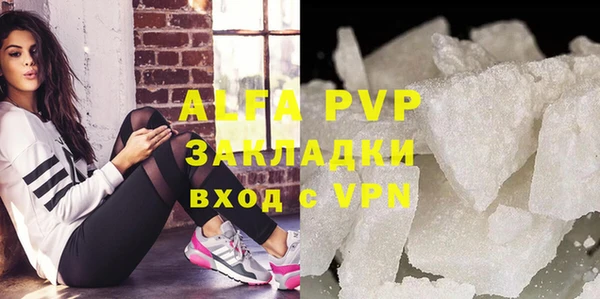 метадон Богданович