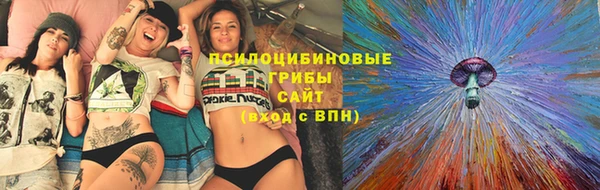 метадон Богданович