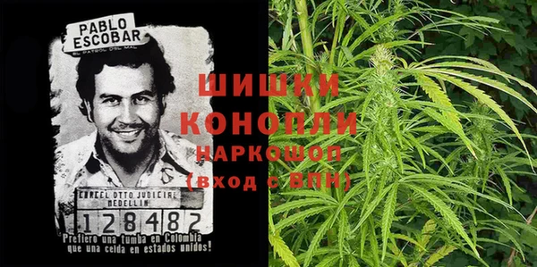 ПСИЛОЦИБИНОВЫЕ ГРИБЫ Бородино